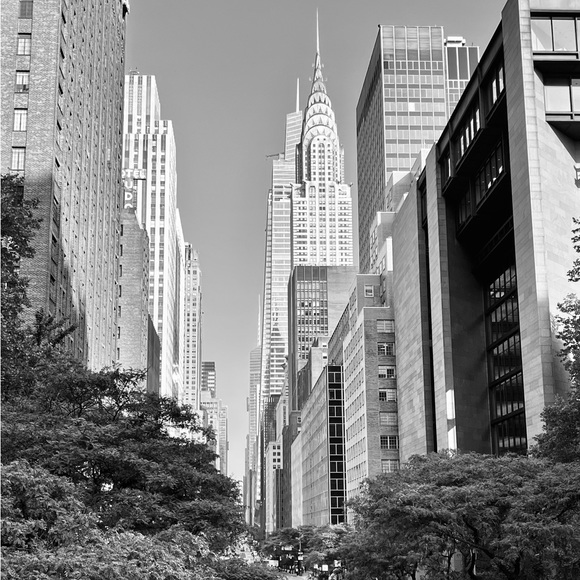 Meet your Posher, Angie - Picture 1 of 1